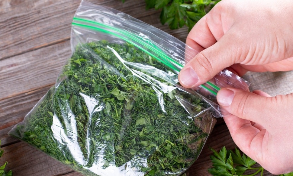 Как хранить зелень