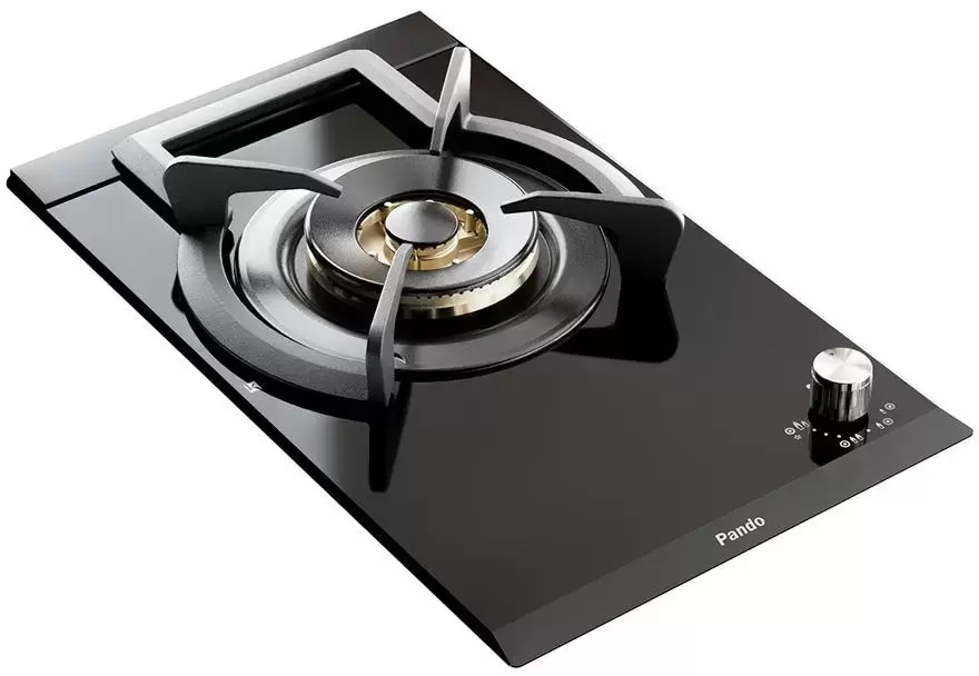 Какую варочную панель выбрать для дачи