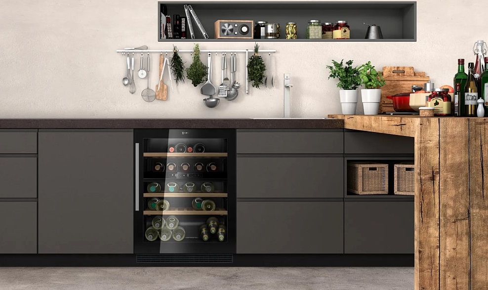 Какой винный шкаф лучше купить 