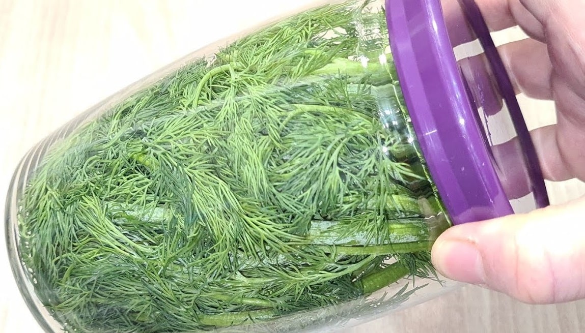 Как хранить зелень