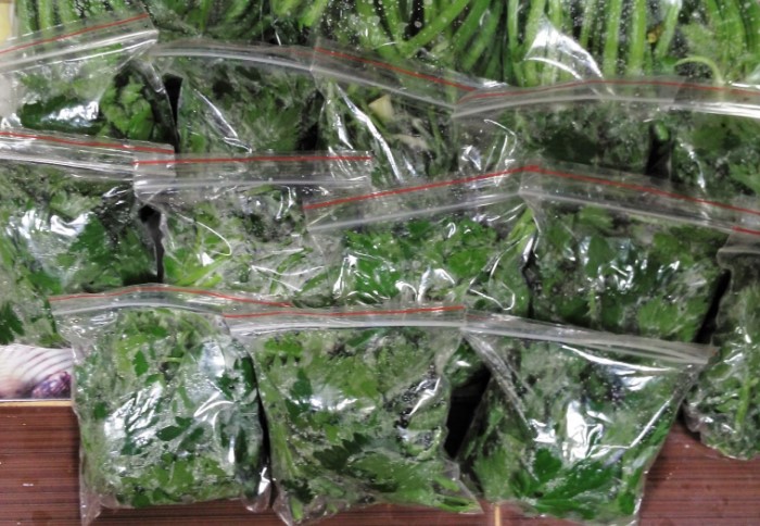 Как хранить зелень