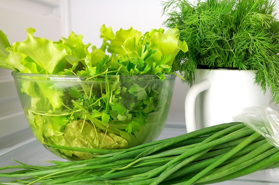 Как хранить зелень
