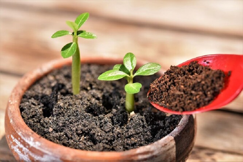 Как пользоваться кофемашиной Bosch 