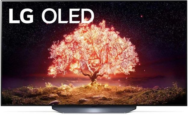 Телевизор LG OLED55B1RLA (preview 1)