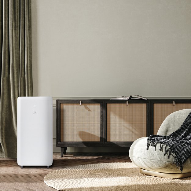 Мобильный кондиционер Electrolux EACM-09 XN/N6 (preview 8)