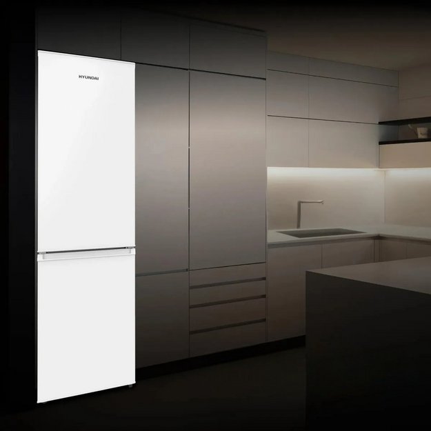 Холодильник Hyundai CC30031A (preview 4)