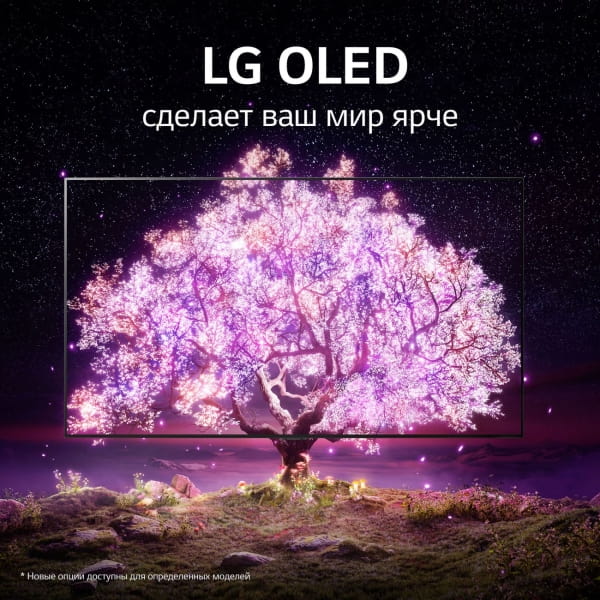 Телевизор LG OLED65A1RLA (preview 9)
