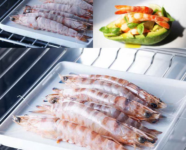 Встраиваемый шкаф шоковой заморозки Irinox Freddy 60 HF602350002 (черное стекло/анодированная сталь) (preview 11)