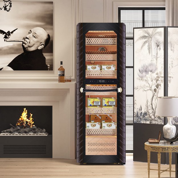 Хьюмидор Afidano C8 (фото 4) Хьюмидор Afidano C8 (preview 4)