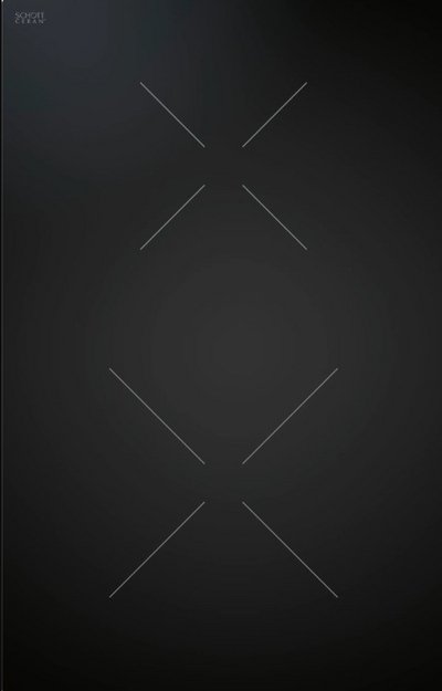 Варочная панель BORA CKI (preview 1)