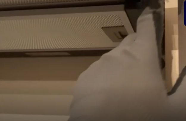 Встраиваемая вытяжка с выдвижным экраном Korting KHP 9975 GW (video 1)