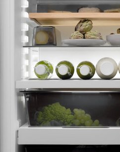 Встраиваемый холодильник BORA C178KGWS2 фото 4 в Санкт-Петербурге