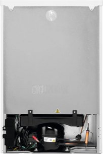 Холодильник Электролюкс LXB1AE13W0 фото 2 в Санкт-Петербурге Холодильник Electrolux LXB1AE13W0 фото 2 в Санкт-Петербурге