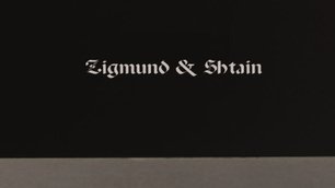 Духовой шкаф Zigmund Shtain EN 132.921 S фото 4 в Санкт-Петербурге