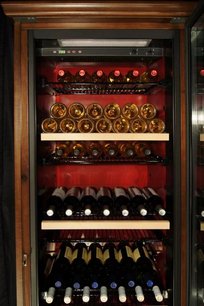 Винный шкаф ИП CEX 501 NU фото 4 в Санкт-Петербурге Винный шкаф IP CEX 501 NU фото 4 в Санкт-Петербурге