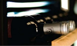 Винный шкаф IP NCK 501 CF фото 2 в Санкт-Петербурге