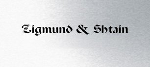 Духовой шкаф Zigmund Shtain EN 111.921 S фото 4 в Санкт-Петербурге