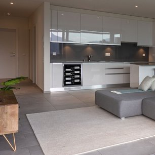 Винный шкаф Dunavox DAUF-40.138SS фото 3 в Санкт-Петербурге