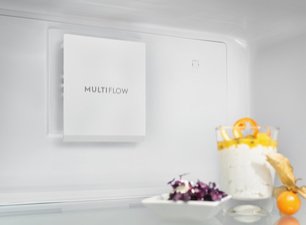Холодильник Электролюкс RRT5MF38W1 фото 2 в Санкт-Петербурге Холодильник Electrolux RRT5MF38W1 фото 2 в Санкт-Петербурге