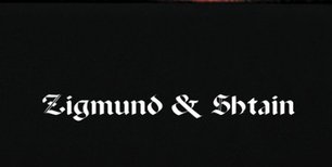 Духовой шкаф Zigmund Shtain EN 121.921 B фото 4 в Санкт-Петербурге