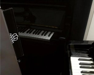 Монотемпературный винный шкаф EuroCave V-REVEL-S R-400016-S2W фото 3 в Санкт-Петербурге