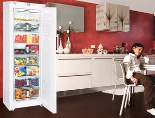 Морозильник Либхер GN 3056 Premium NoFrost фото 3 в Санкт-Петербурге Морозильник Liebherr GN 3056 Premium NoFrost фото 3 в Санкт-Петербурге