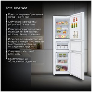 Холодильник Hyundai CM30073F белый фото 4 в Санкт-Петербурге