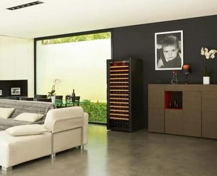 Монотемпературный винный шкаф EuroCave V-PURE-L P-300048-L фото 3 в Санкт-Петербурге