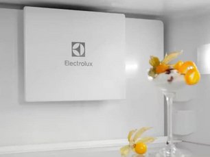 Встраиваемый холодильник Электролюкс ENT6ME19S фото 3 в Санкт-Петербурге Встраиваемый холодильник Electrolux ENT6ME19S фото 3 в Санкт-Петербурге