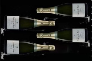 Винный шкаф Dunavox DX-58.258DSS фото 3 в Санкт-Петербурге