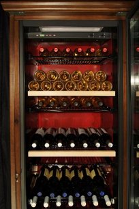 Винный шкаф IP CEX 501 VU фото 4 в Санкт-Петербурге