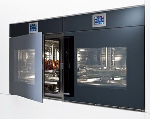 Духовой шкаф Barazza 1FVLTSD зеркальное стекло фото 2 в Санкт-Петербурге