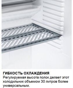 Минибар Дометик RH 131 LD фото 2 в Санкт-Петербурге Минибар Dometic RH 131 LD фото 2 в Санкт-Петербурге