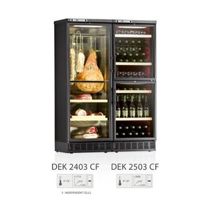 Комбинированный шкаф ИП DEK 2503 CF фото 2 в Санкт-Петербурге Комбинированный шкаф IP DEK 2503 CF фото 2 в Санкт-Петербурге