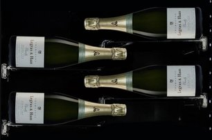 Винный шкаф Dunavox DX-58.258DB фото 3 в Санкт-Петербурге