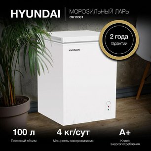 Морозильный ларь Hyundai CH10081 фото 4 в Санкт-Петербурге