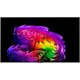 Телевизор LG OLED83G6RLA