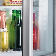 Минибар Dometic RH 439 LDAG фото 2 в Санкт-Петербурге