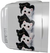 Минибар Meyvel MD-04C3W-RGB (арт. 980398) с накл. фото 2 в Санкт-Петербурге