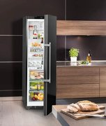 Холодильник Liebherr KBbs 4350 Premium BioFresh фото 3 в Санкт-Петербурге