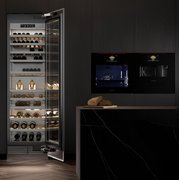 Духовой шкаф с микроволнами и паром Signature Kitchen Suite SKSLV2401S фото 3 в Санкт-Петербурге