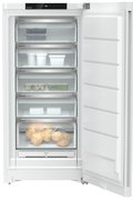 Морозильник Liebherr FNd 6625 фото 4 в Санкт-Петербурге