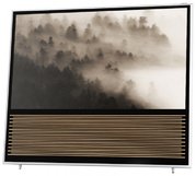 Телевизор Bang & Olufsen BeoVision 14-55 фото 2 в Санкт-Петербурге