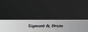 Духовой шкаф Zigmund Shtain EN 59.511 S фото 3 в Санкт-Петербурге