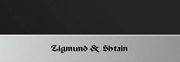 Духовой шкаф Zigmund Shtain EN 59.512 S фото 3 в Санкт-Петербурге