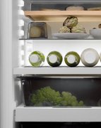 Встраиваемый холодильник BORA C178KGWS2 фото 4 в Санкт-Петербурге