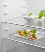 Встраиваемый холодильник Electrolux LND5FE18S фото 4 в Санкт-Петербурге