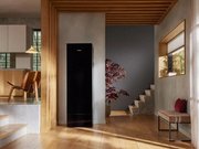 Сушильный шкаф Miele Aerium LC 860 WP OBSW фото 2 в Санкт-Петербурге