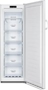 Морозильный шкаф Gorenje FN4171CW фото 2 в Санкт-Петербурге