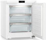 Морозильник Liebherr Fe 1003 фото 4 в Санкт-Петербурге
